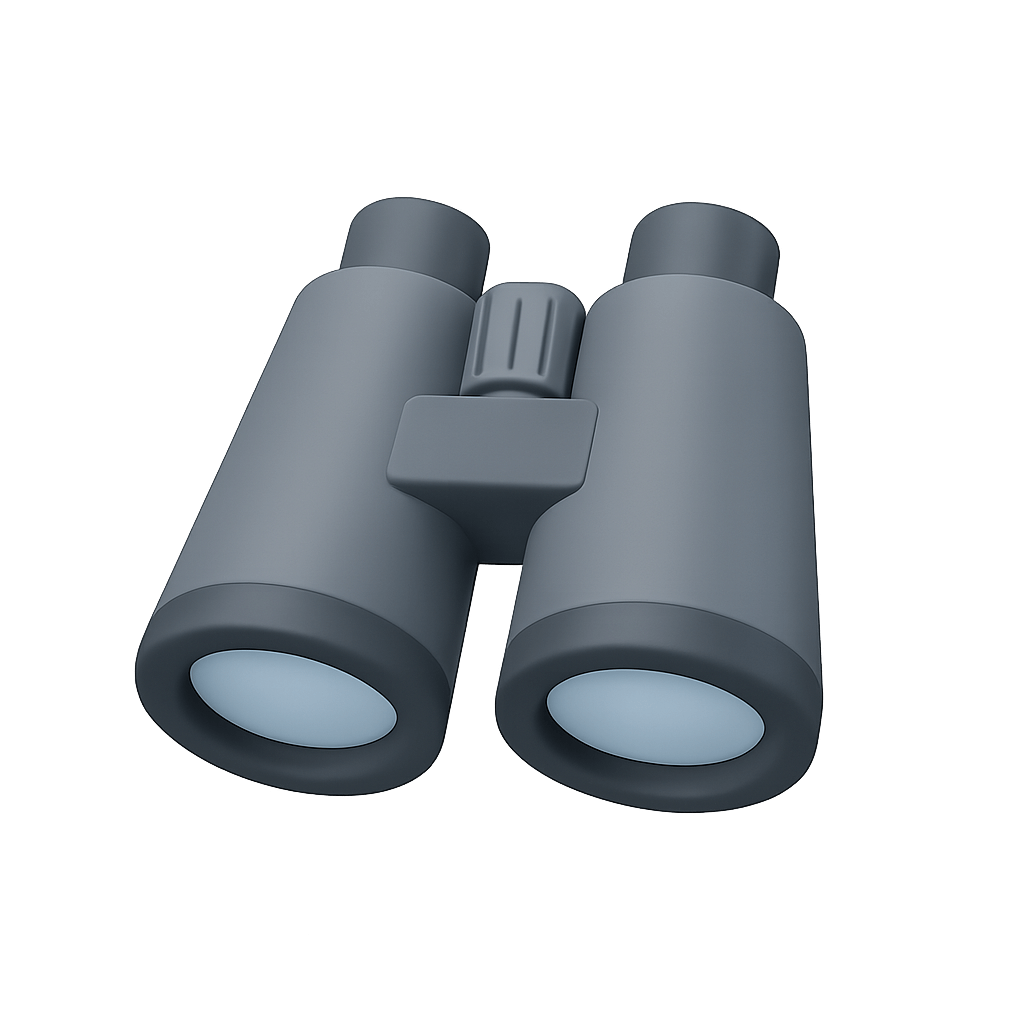 3D Grey Binoculars Observation Tool Icon