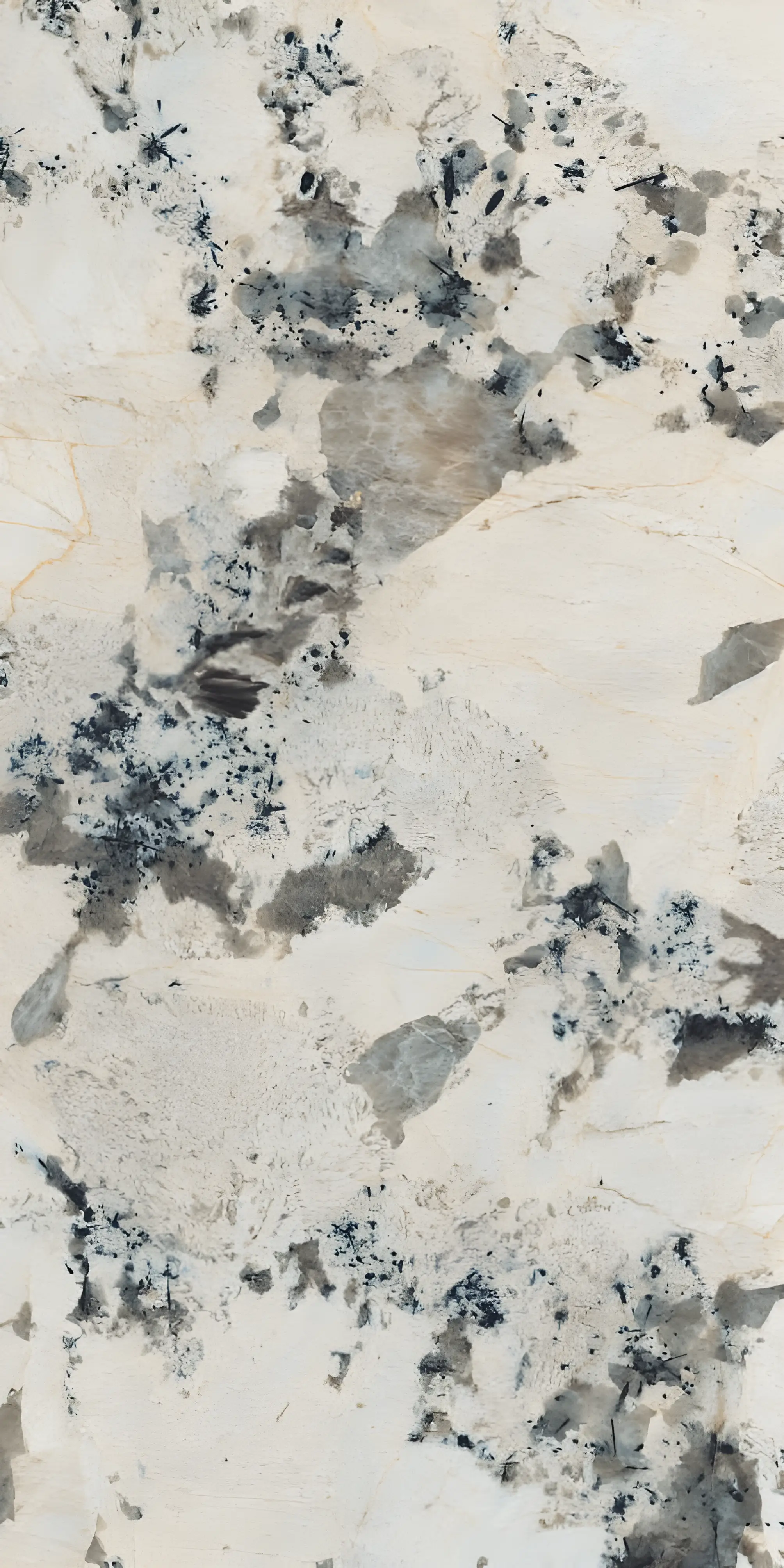 Abstract Black and White Marble Texture with Organic Patterns and Details