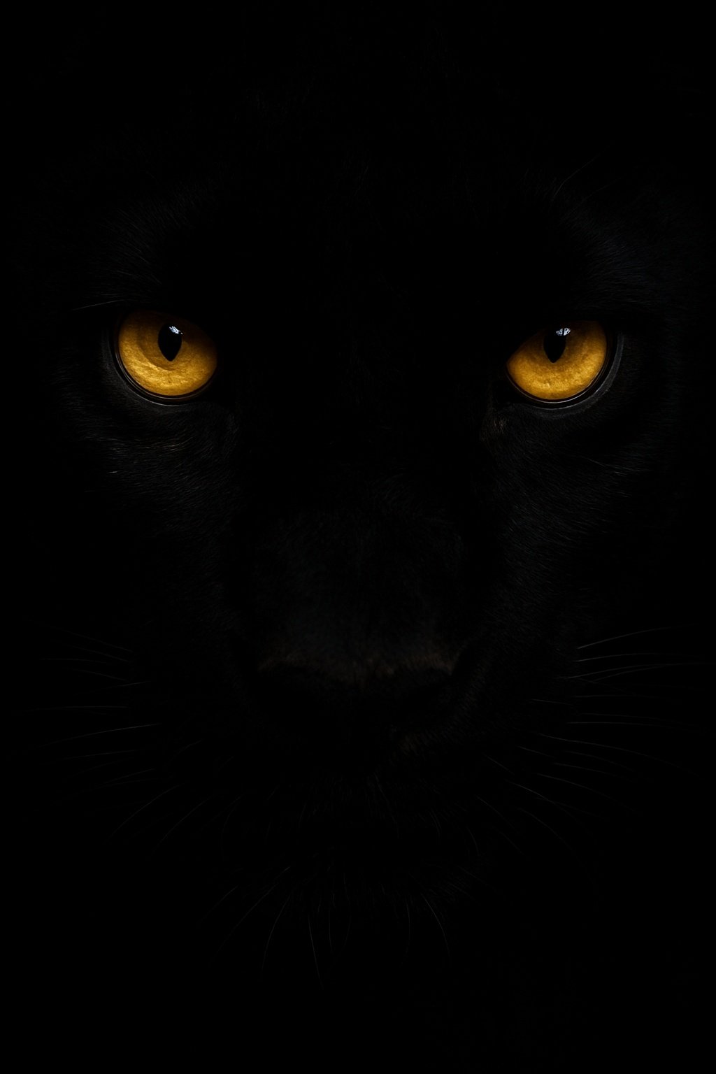 Black Panther Yellow Eyes Dark Mobile Wallpaper