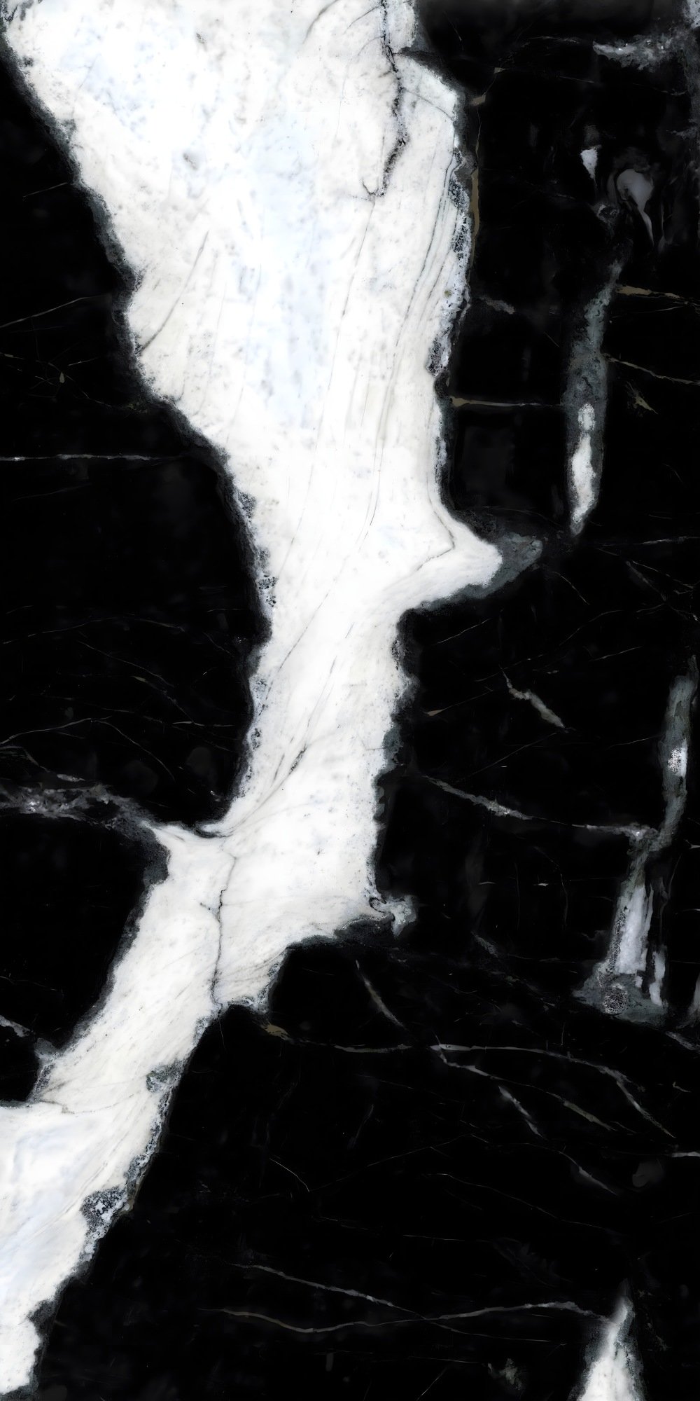 Bold Black and White Contrast Marble