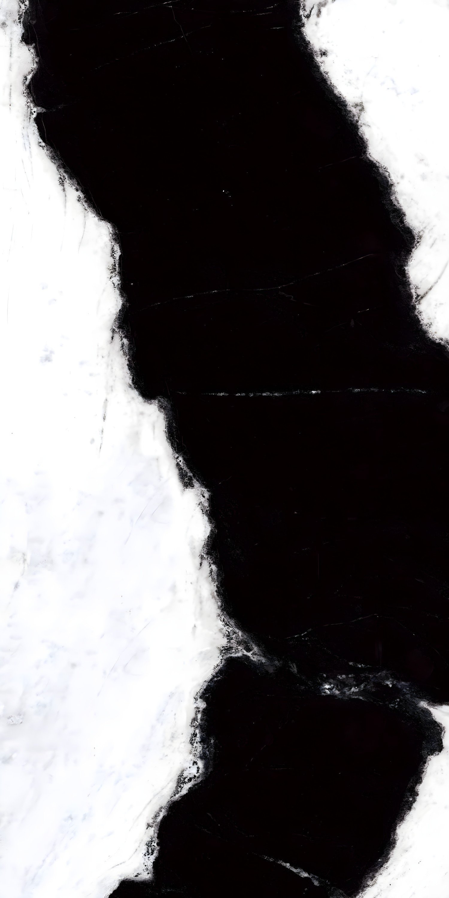 Bold Black and White Natural Marble Slab