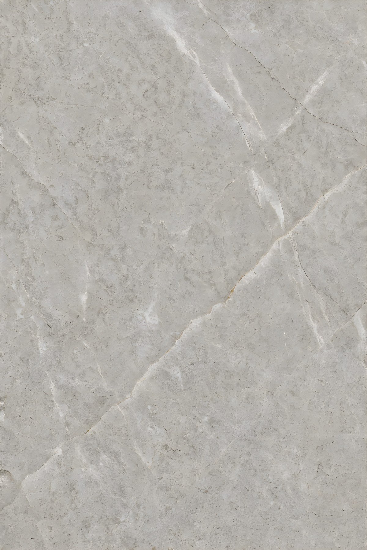 Classic Grey Marble with White Veins
