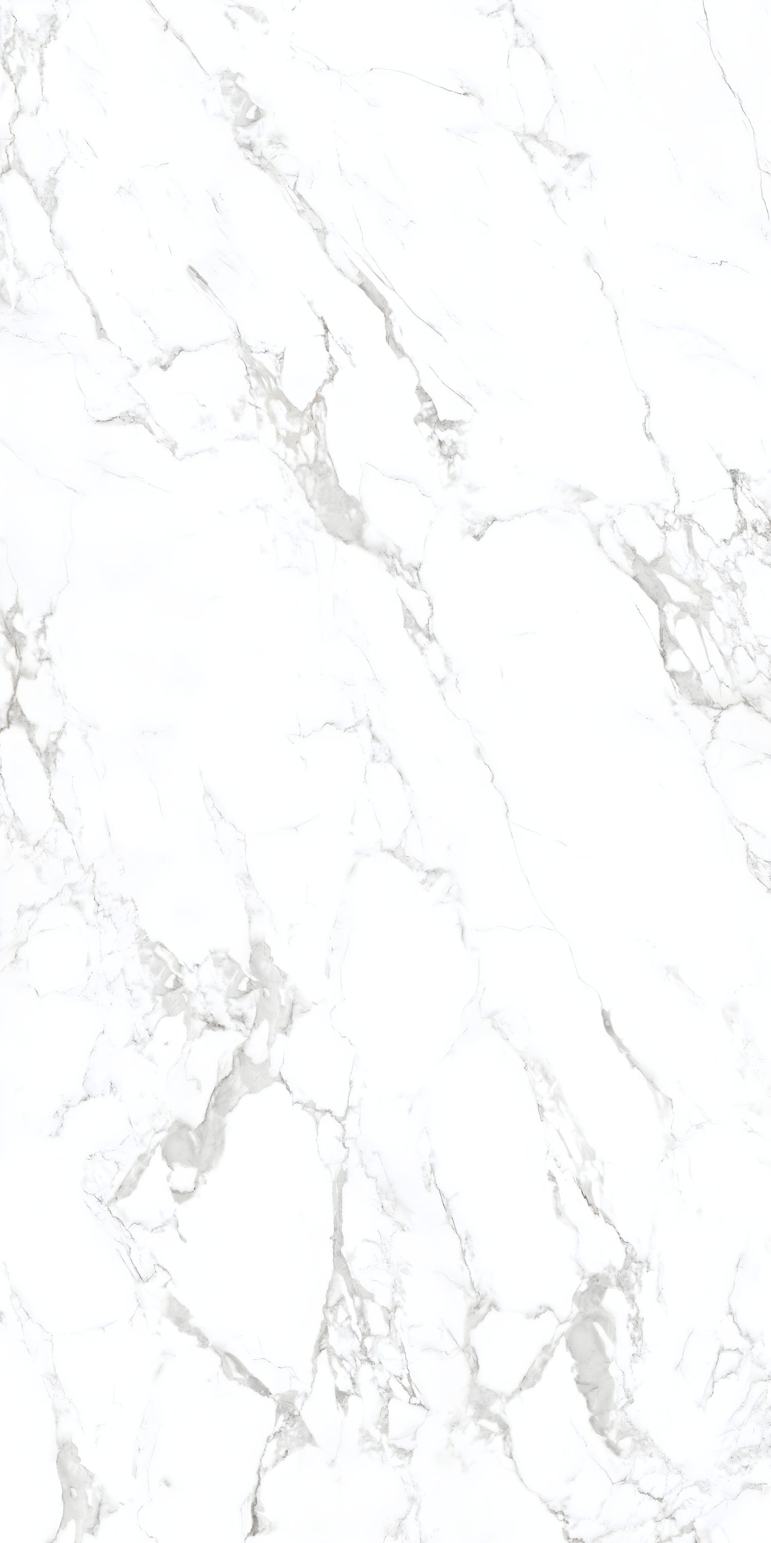 Classic White Marble with Bold Grey Veins