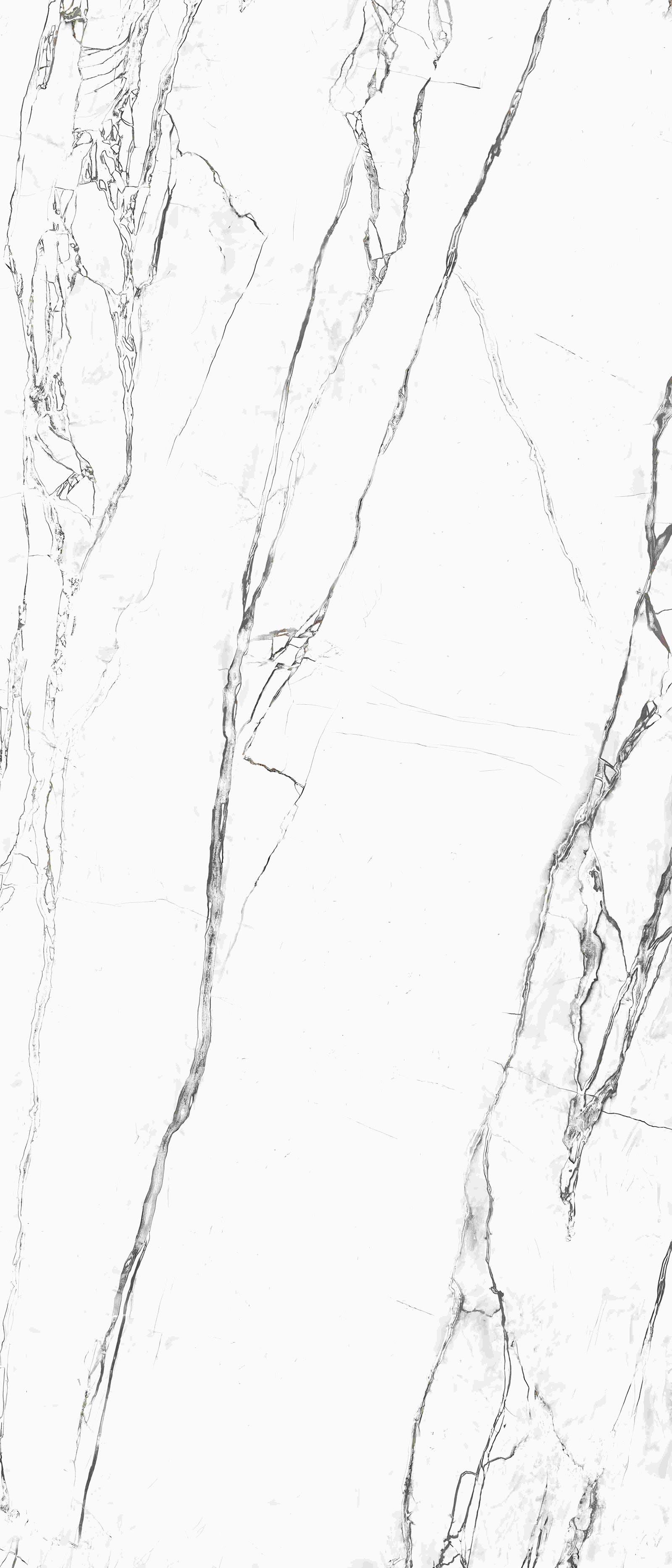 Clean White Marble Fine Black Veining