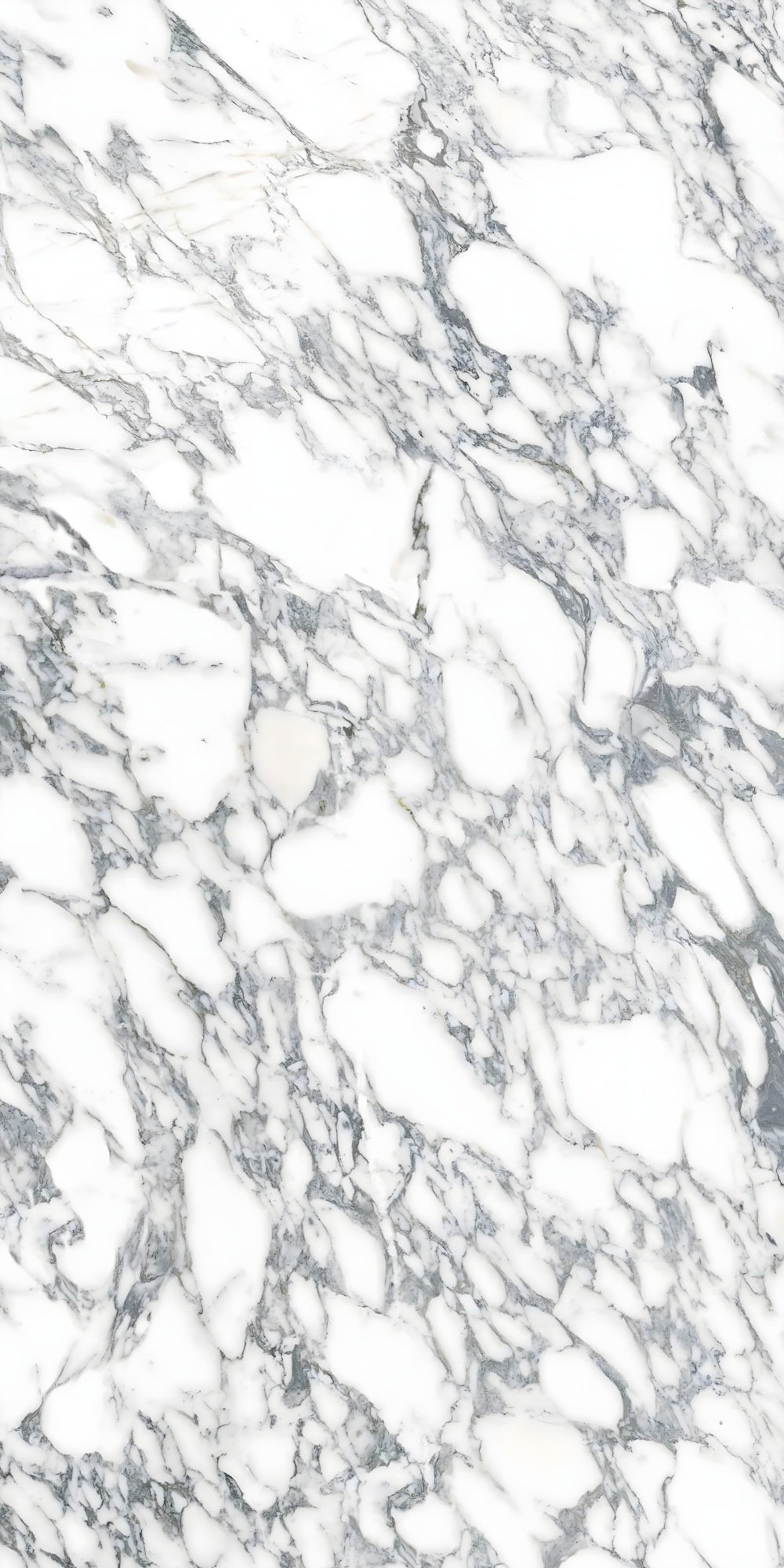 Cloudy White Marble with Dense Grey Veining