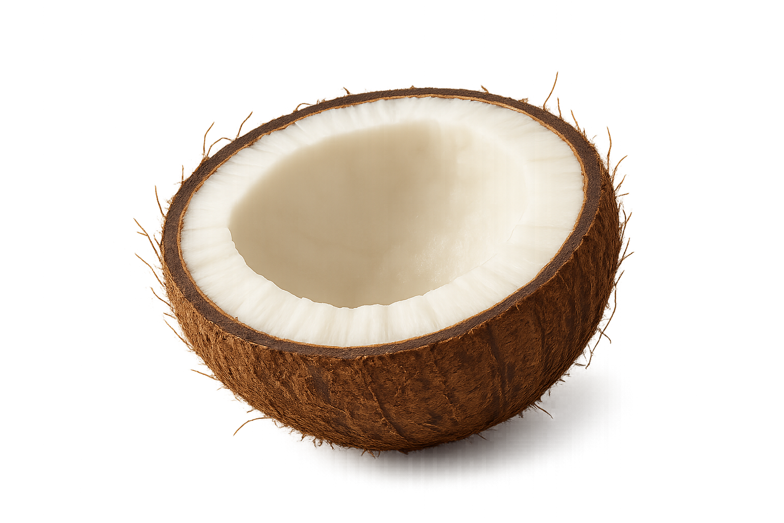 Coconut Half Shell With White Flesh On Transparent Background For Food Health And Tropical Imagery