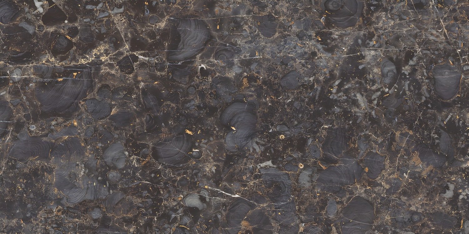Dark Breccia Marble with Gold Rings