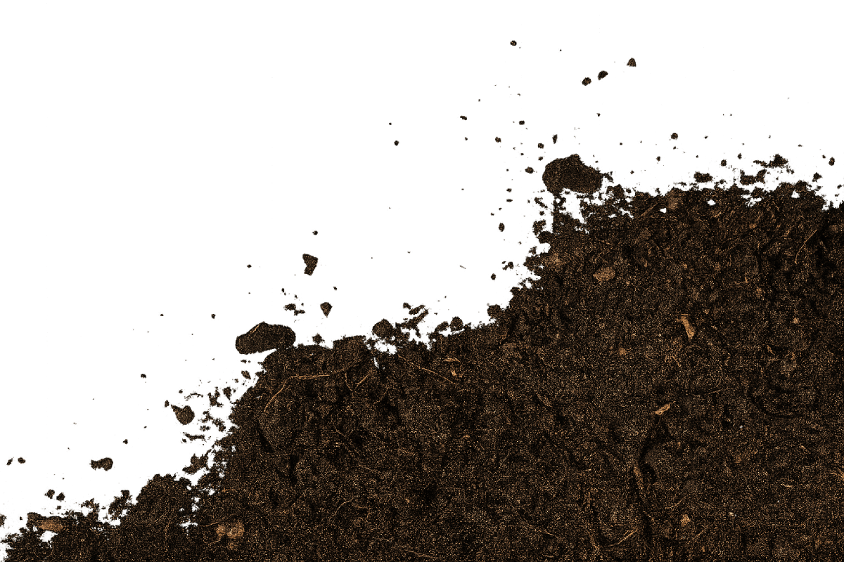 Dark Rich Soil Transparent Background Overlay Texture