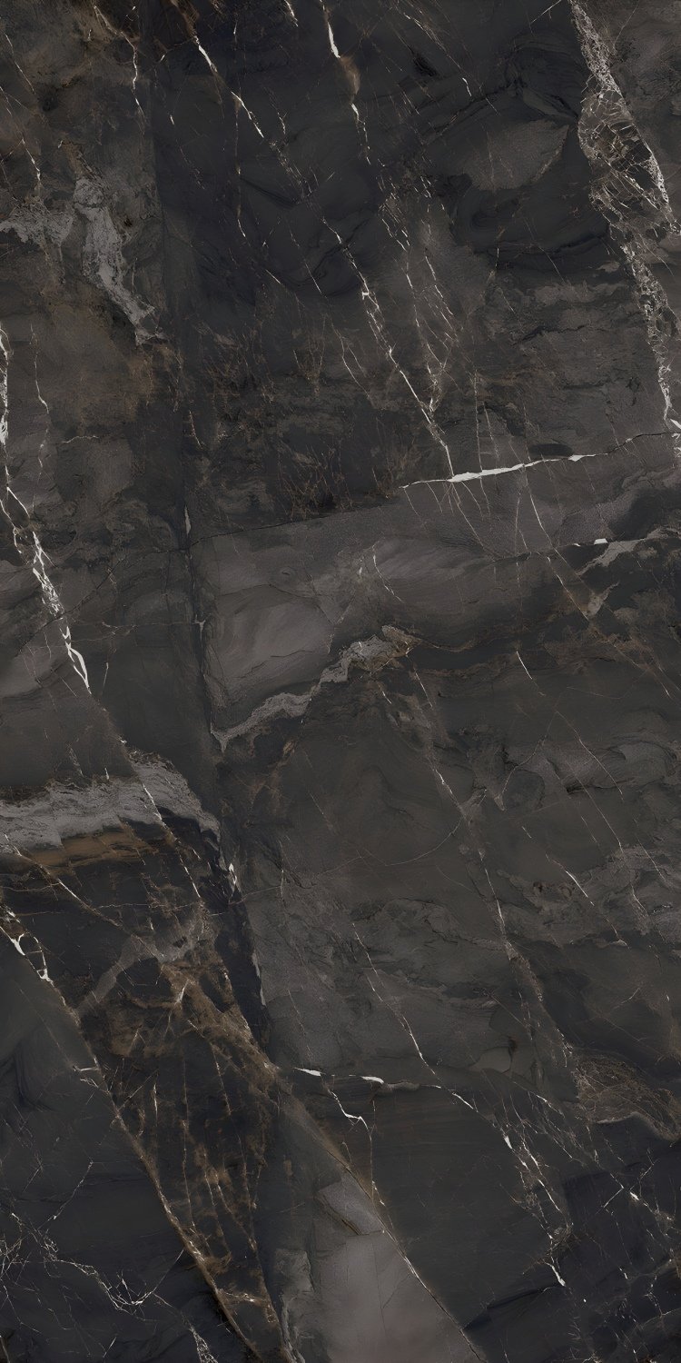 Dramatic Black Marble with Fine White Veining