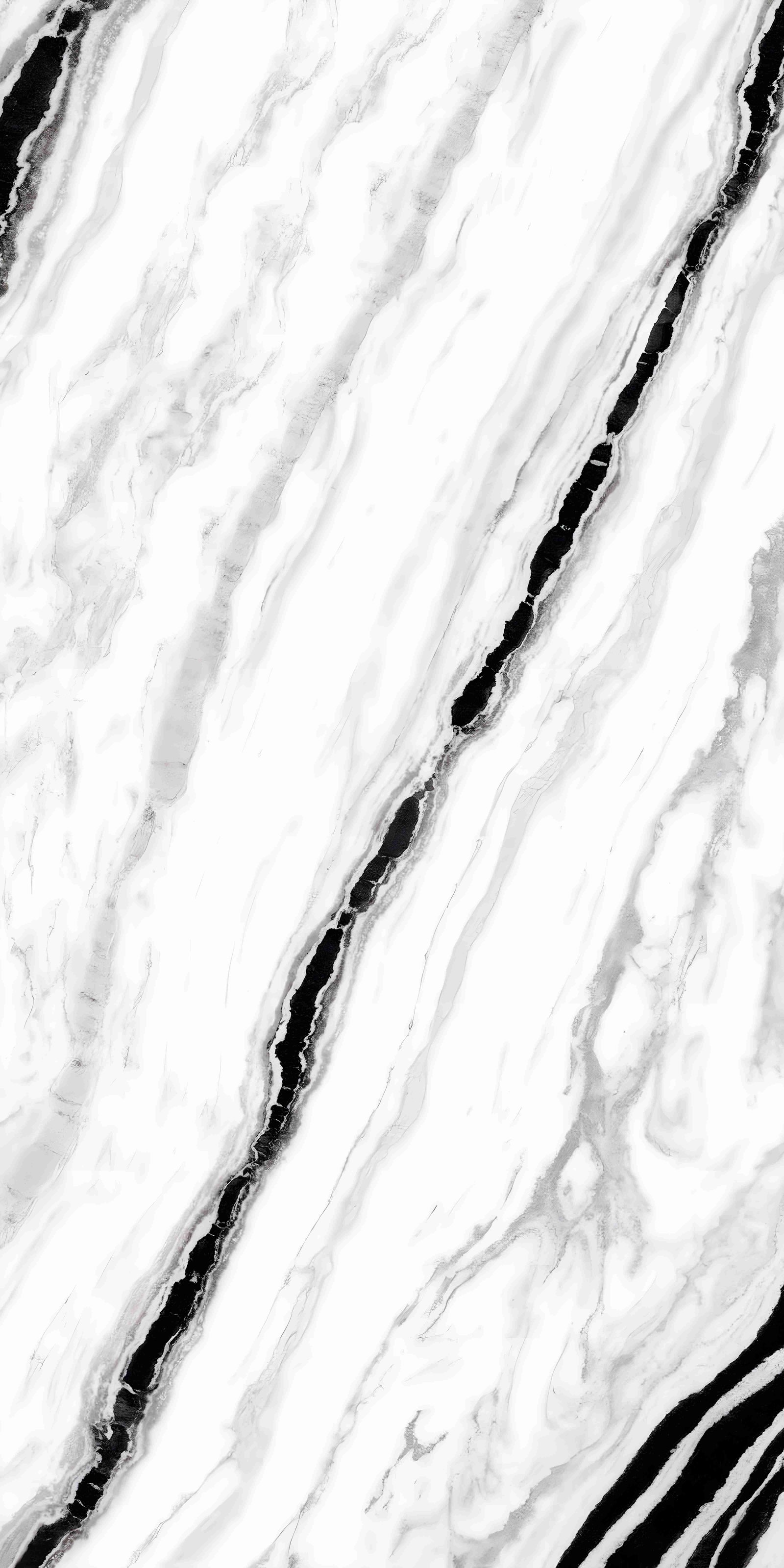 Dramatic White Marble Bold Black Vein