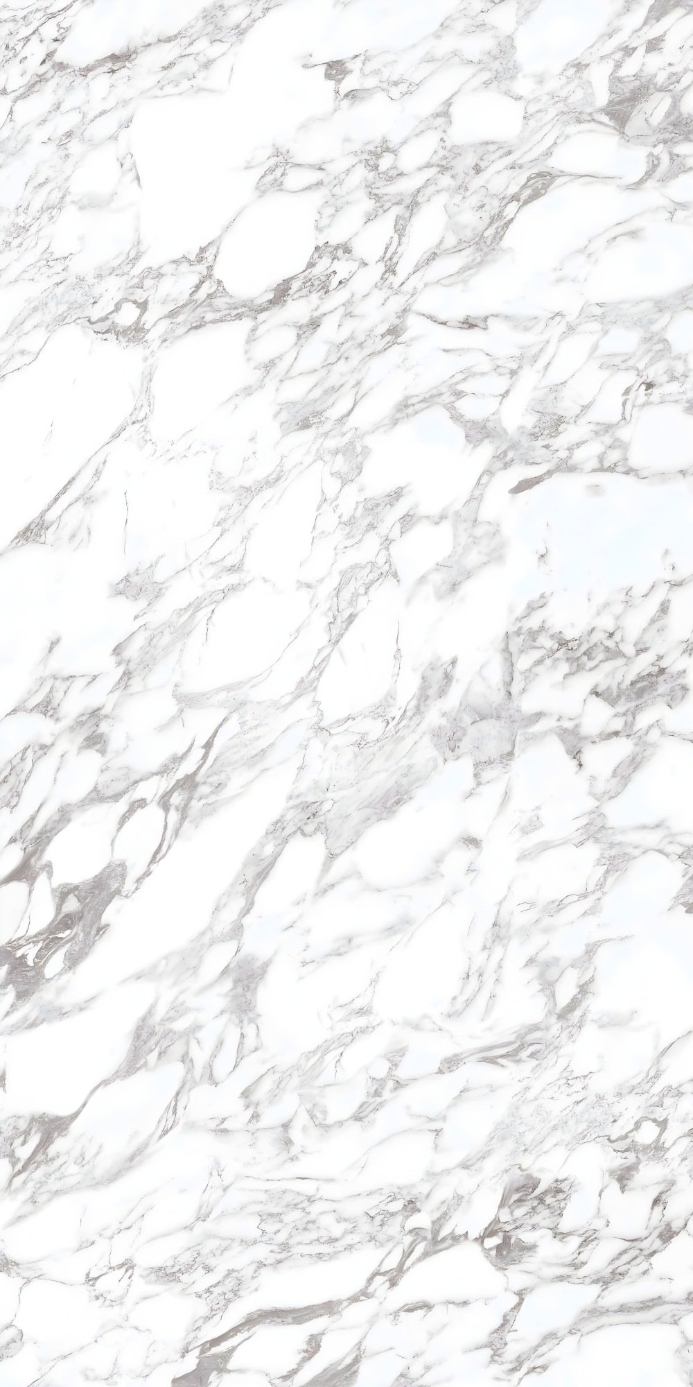 Dramatic White Marble with Bold Grey Veining