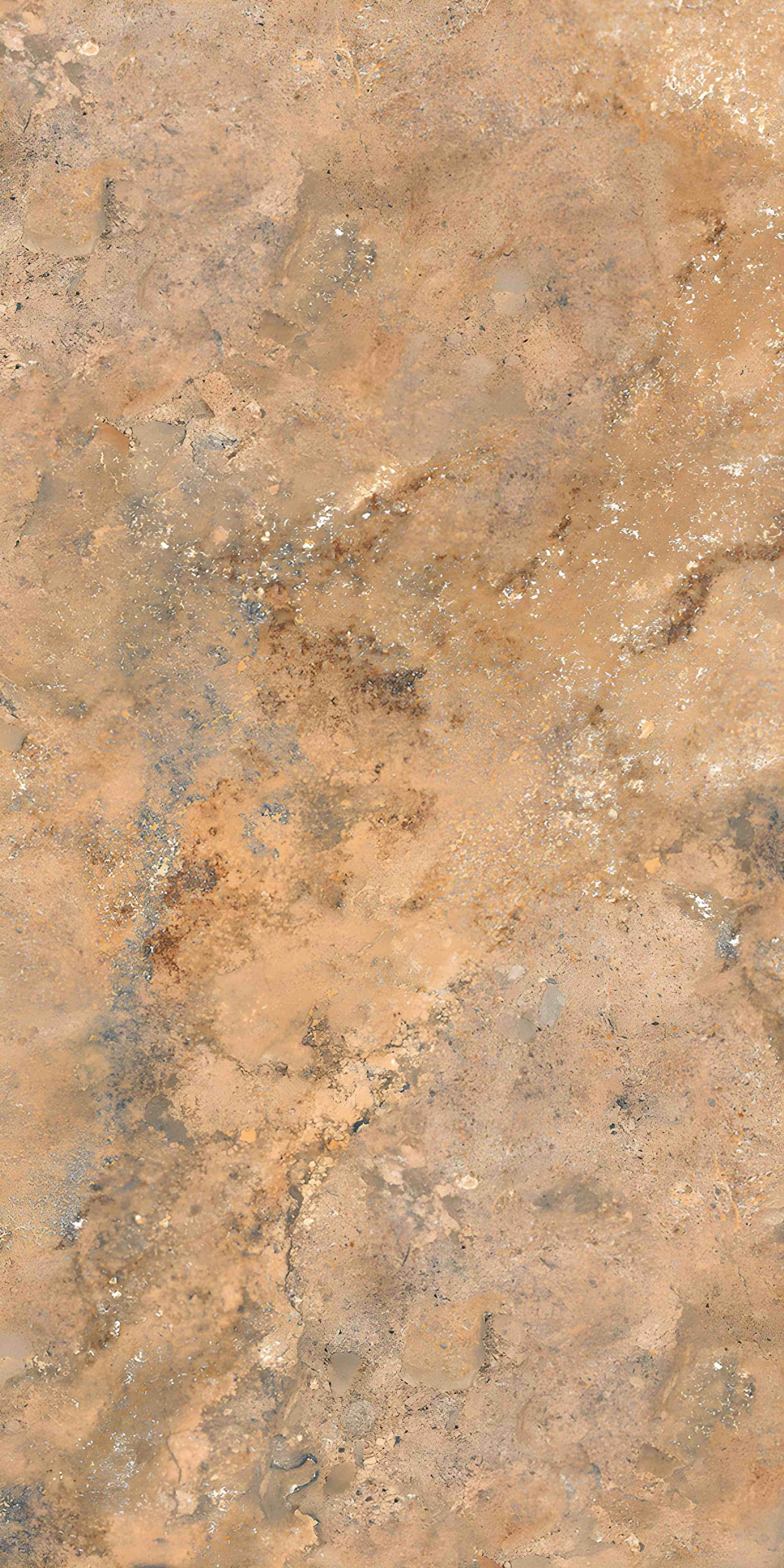 Earthy Rustic Tan Brown Stone Texture Design