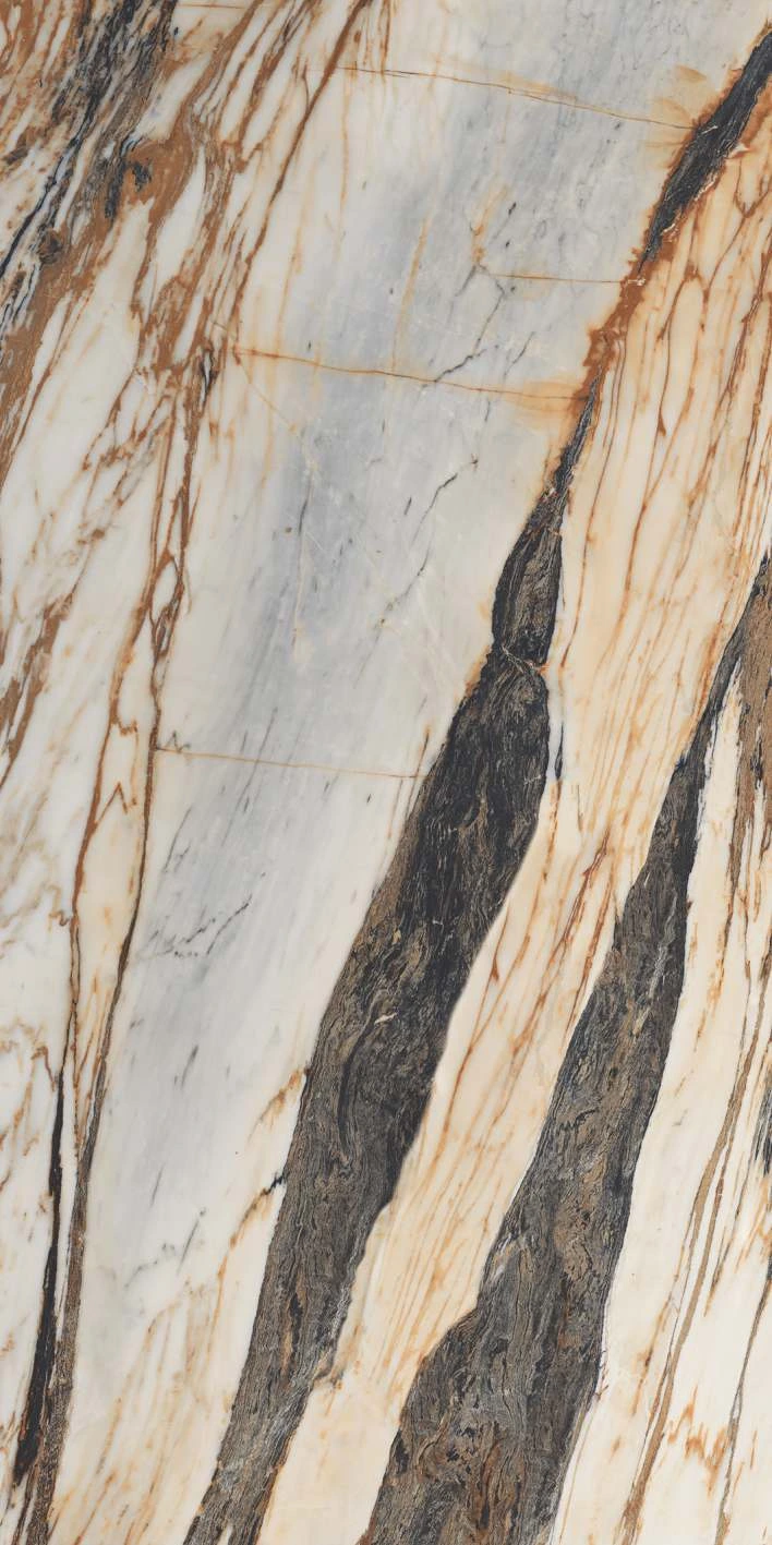 Elegant Marble Surface With Natural Veining in Earth Tones and Textured Patterns