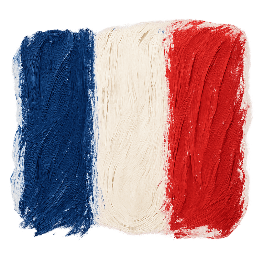 France Flag Brush Stroke Transparent Background Art