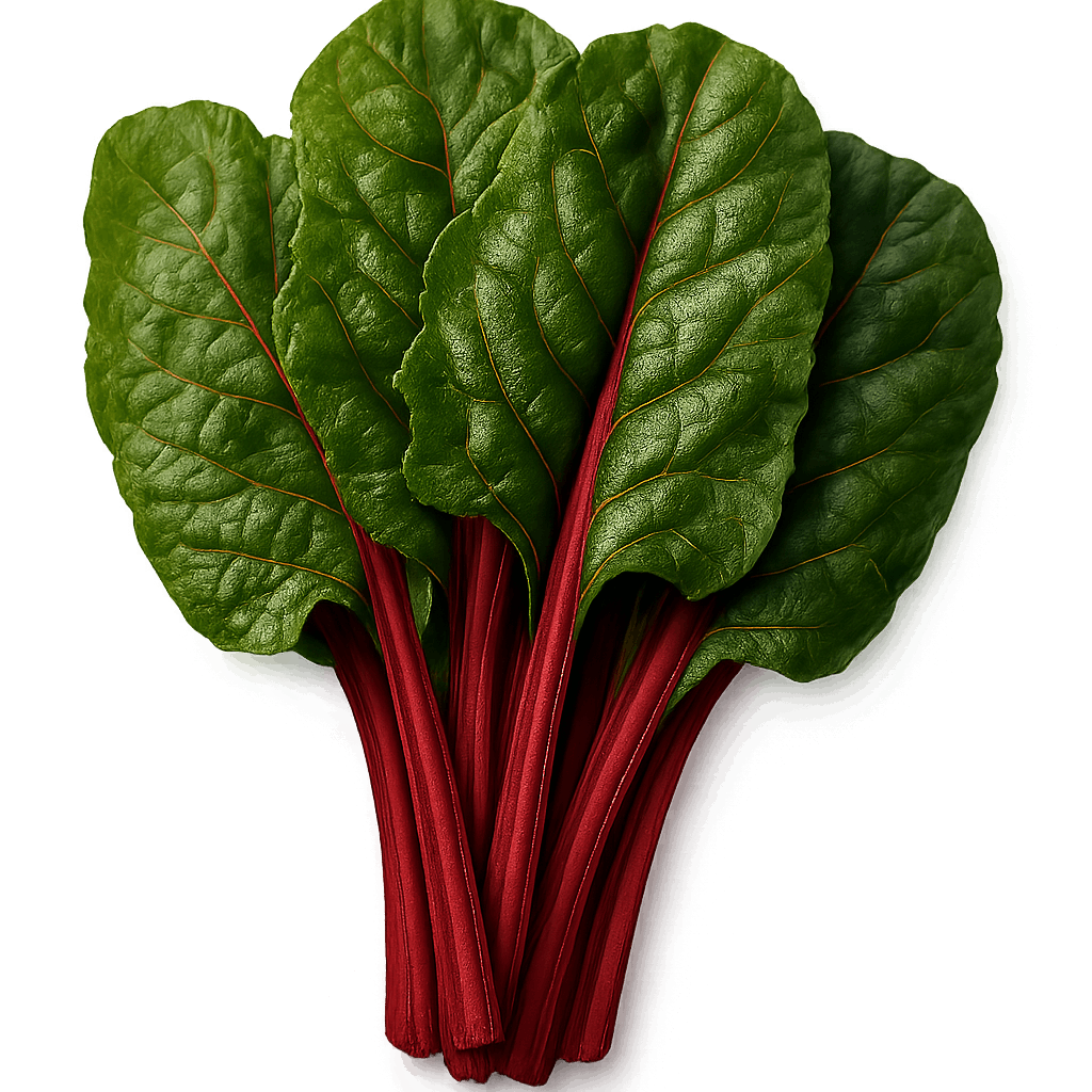 Fresh Organic Green Swiss Chard Red Stems