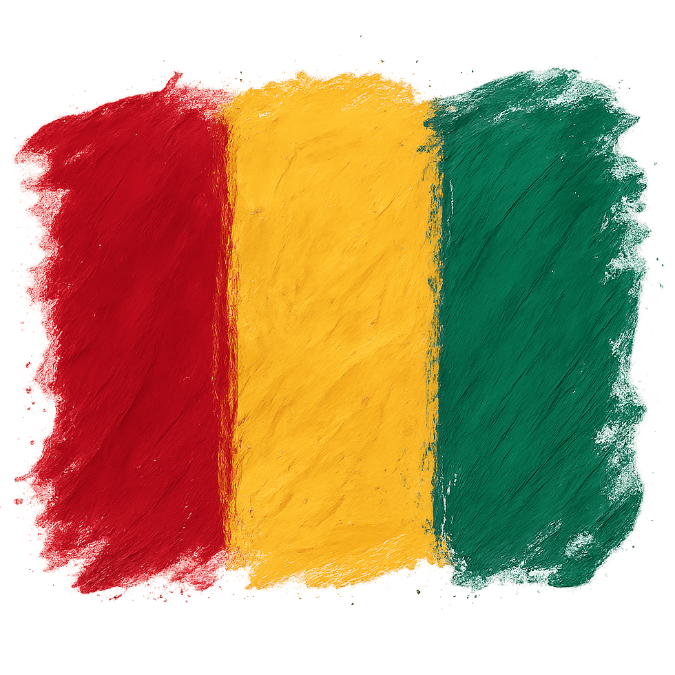 Guinea Flag Painted Brush Strokes Transparent Background