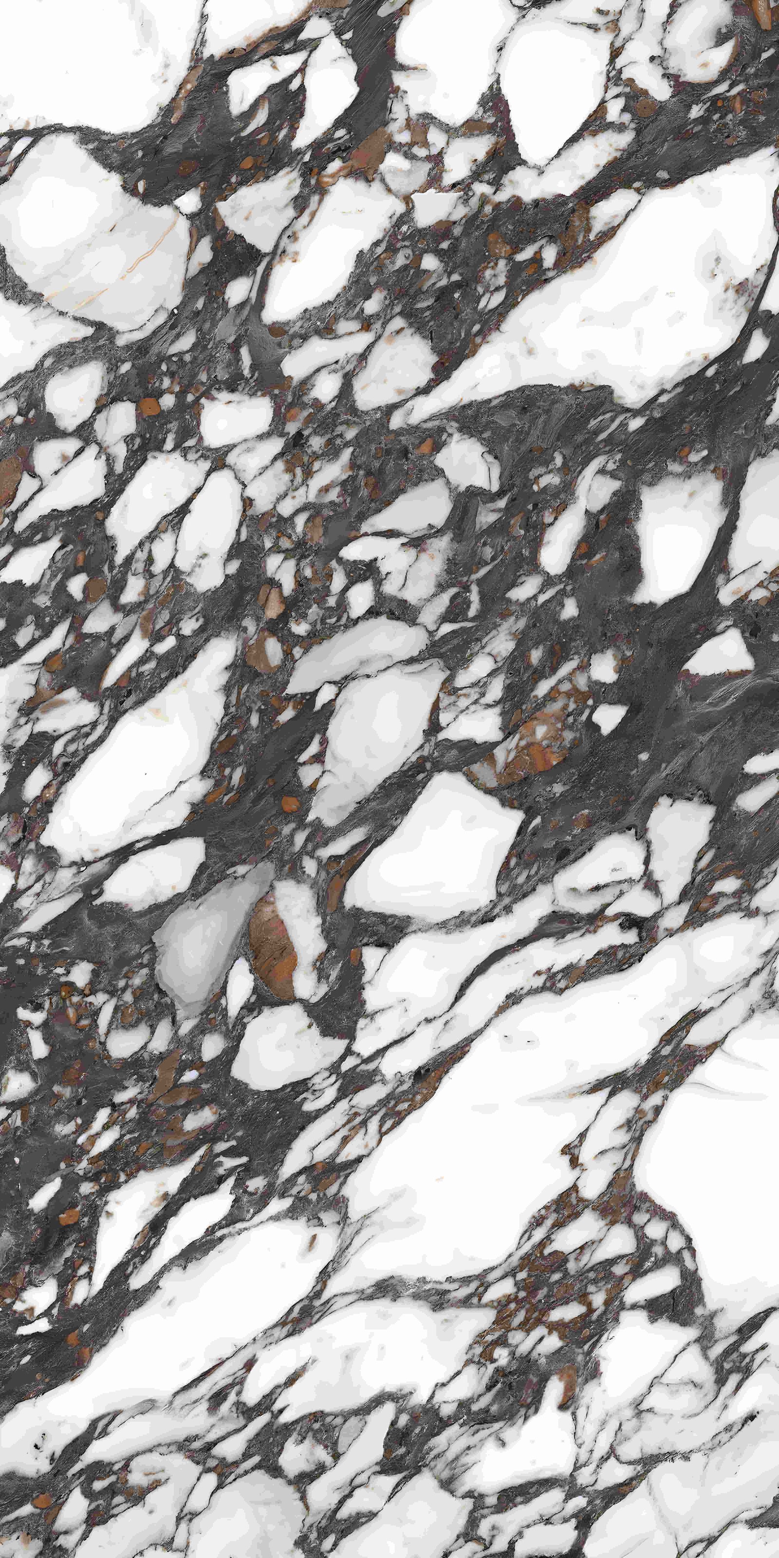 High Contrast Black White Breccia Marble