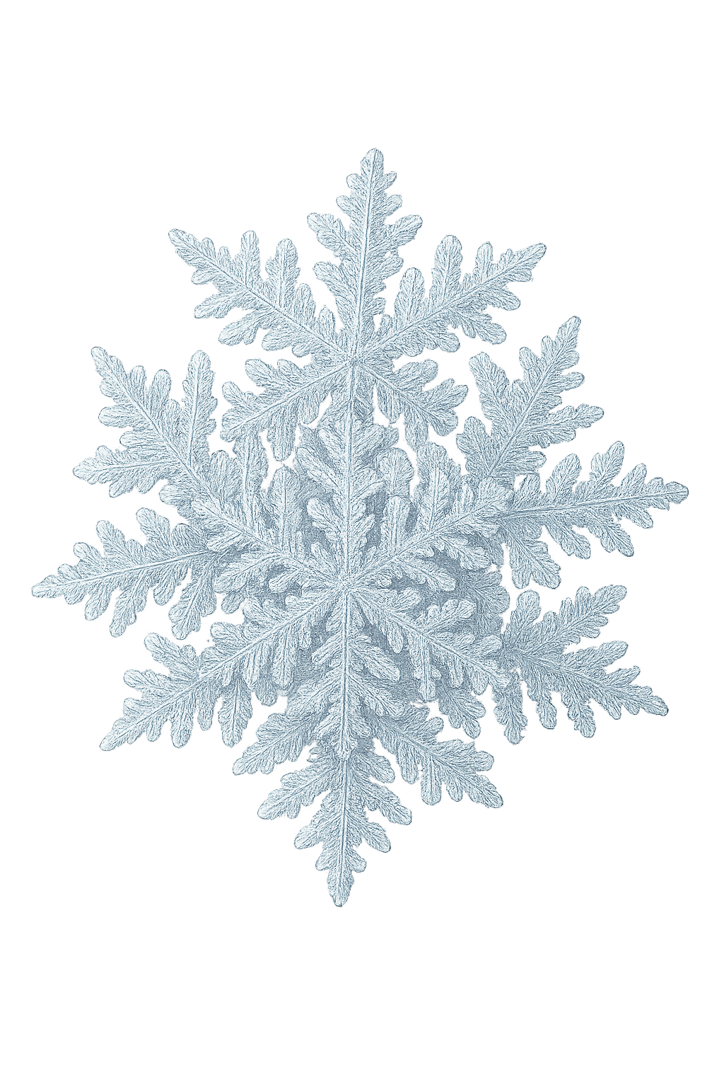 Intricate White Snowflake Against Transparent Background, Winter Frost Pattern for Holiday and Nature Design