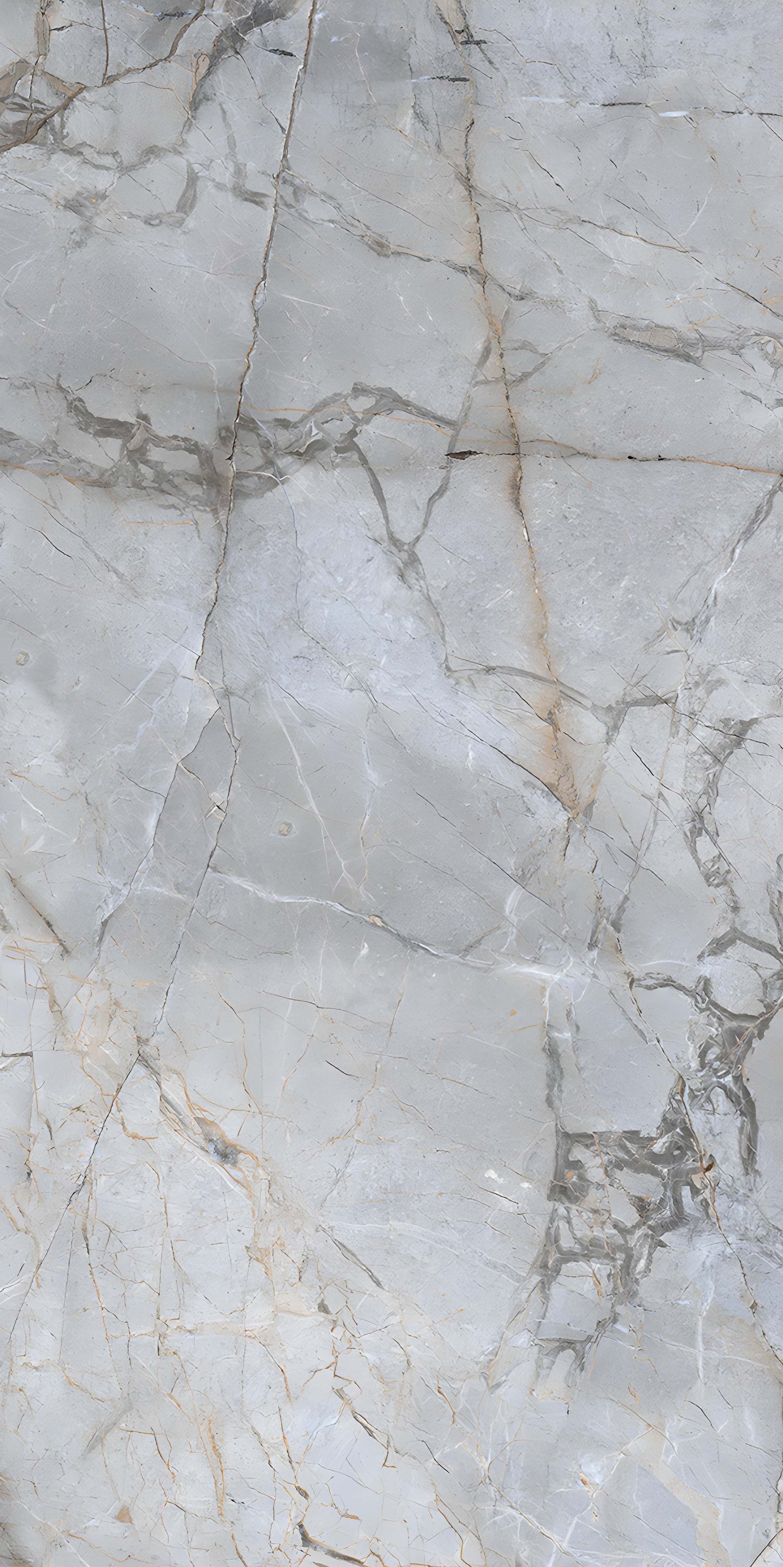 Light Grey Marble Mixed Veining Texture Surface