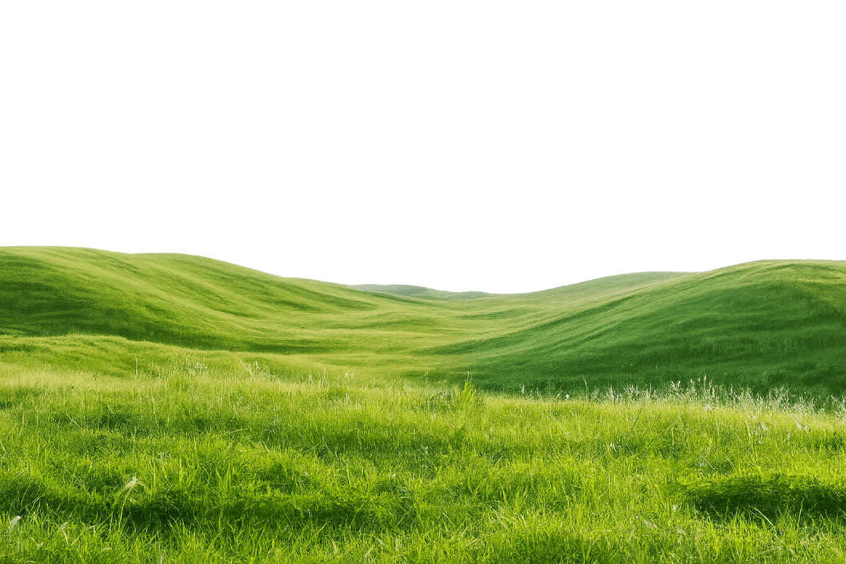 Lush Green Rolling Hills Transparent Background