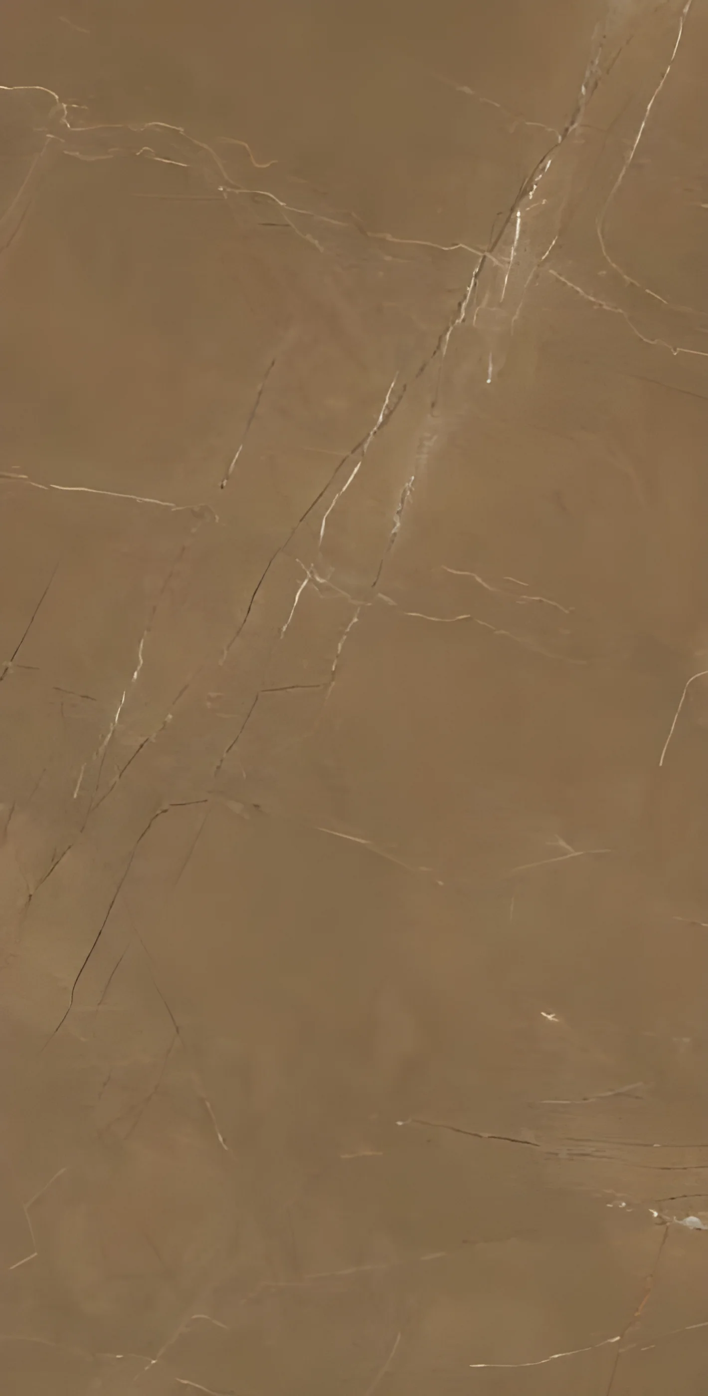 Polished Brown Marble Surface with Natural Patterns and Fine Veining