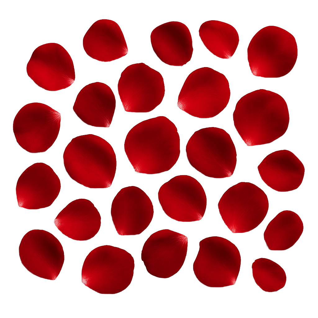 Red Rose Petals on Black Background — Romantic, Luxury Floral Texture for Valentines and Art