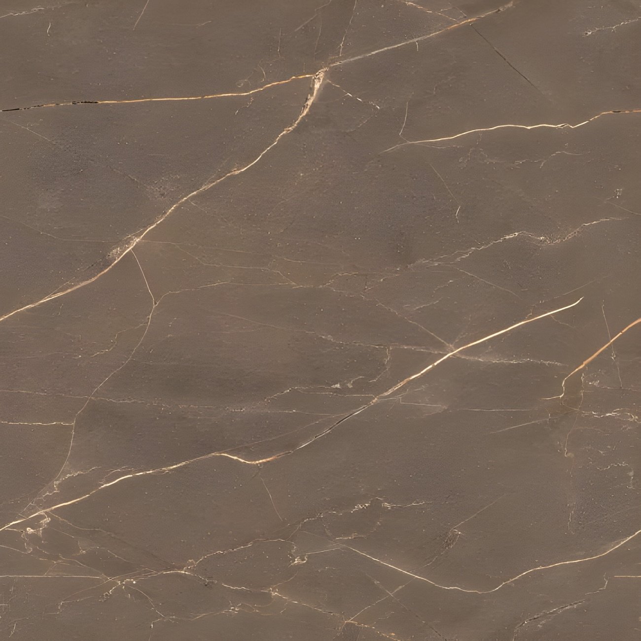 Rich Brown Marble Gold Vein Texture