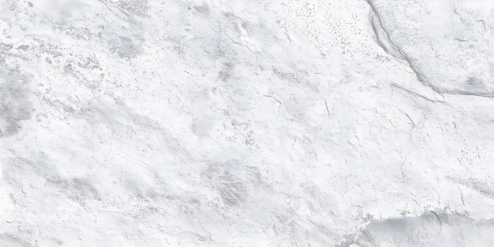 Rough White Natural Stone Wall Texture