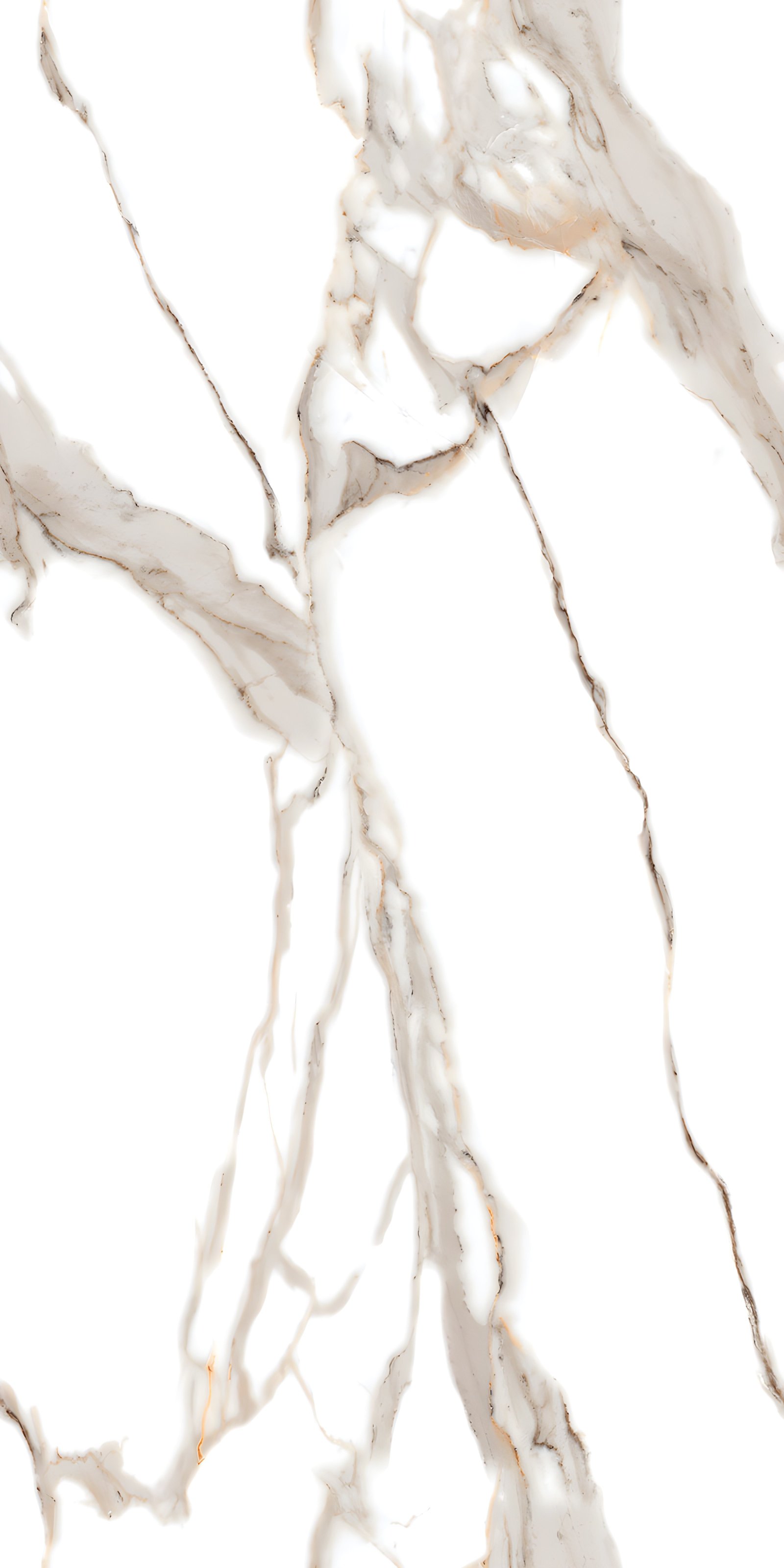 Stunning White Marble with Dramatic Gold Veining
