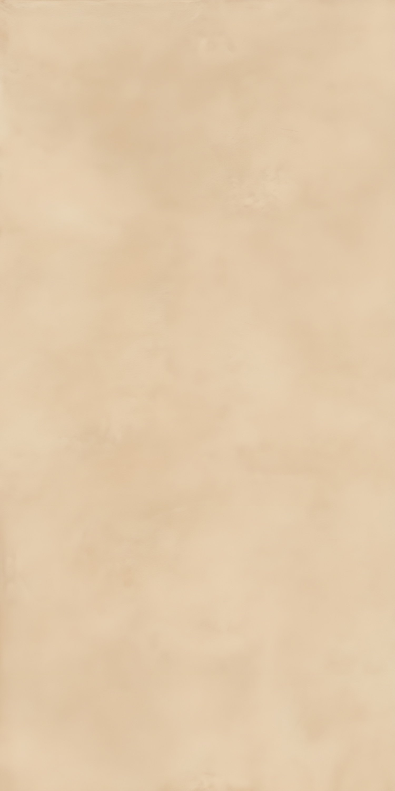 Subtle Sandstone Texture Solid Beige Tone