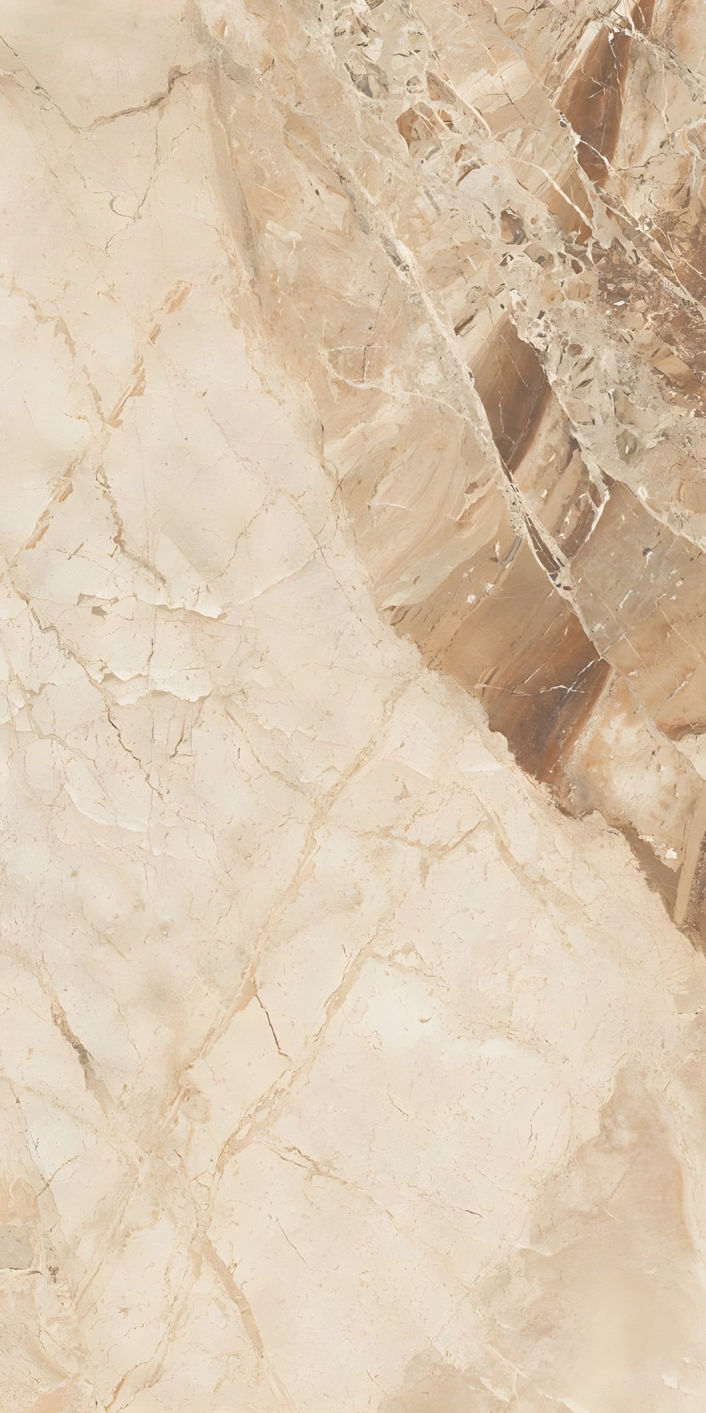 Warm Taupe and Brown Natural Stone Slab